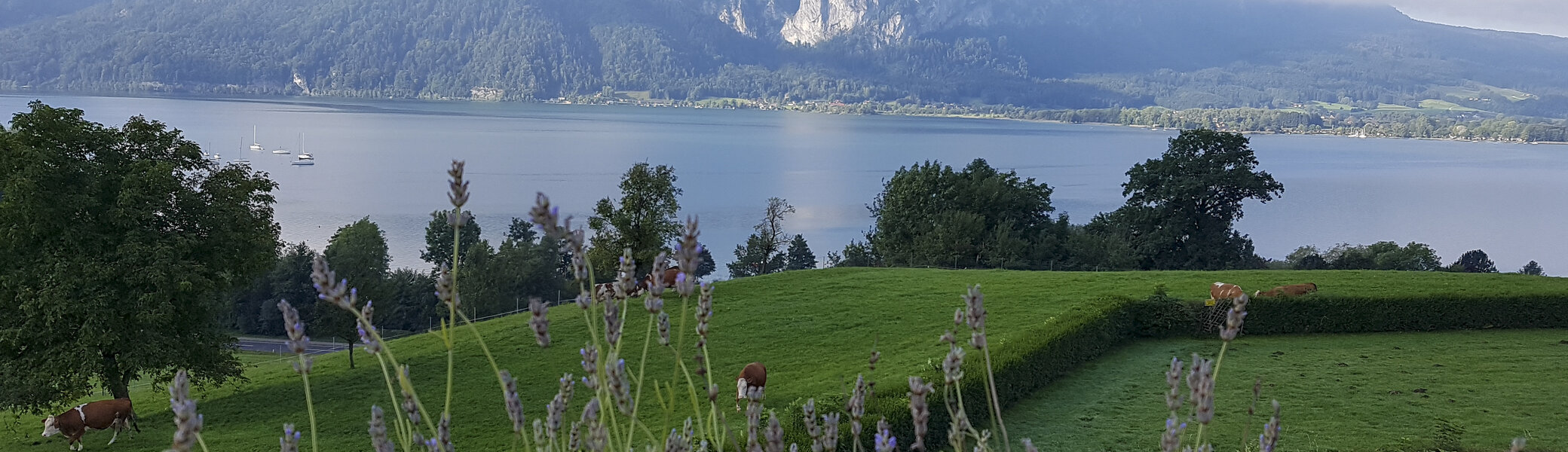 Mondsee | © Bergfreunde München